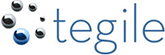 Tegile Systemsロゴ