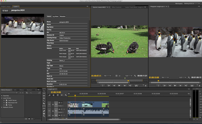 Square Box社、IBC 2014にて新製品「CatDV for Adobe Anywhere for video」を発表