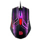 TALON