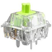 Raptor Switches
