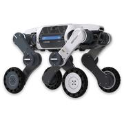 DEEPRobotics Lynx S10