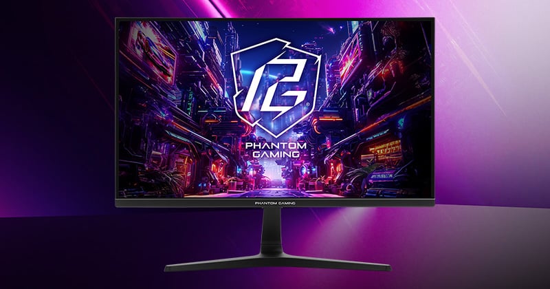 25インチのIPS液晶パネルを採用