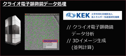 クラリオ電子完備強データ処理